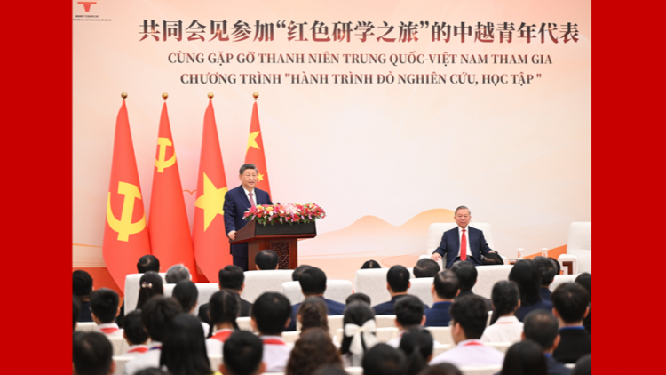 习近平同苏林共同会见中越青年代表